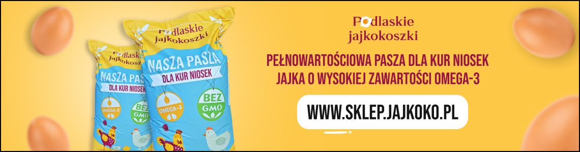jajkoko
