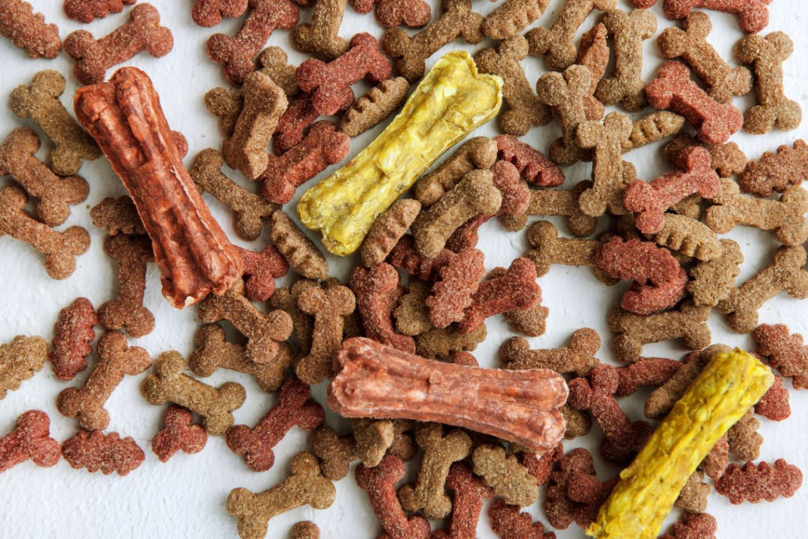 Jak dobrać odpowiednią dietę dla swojego pupila?