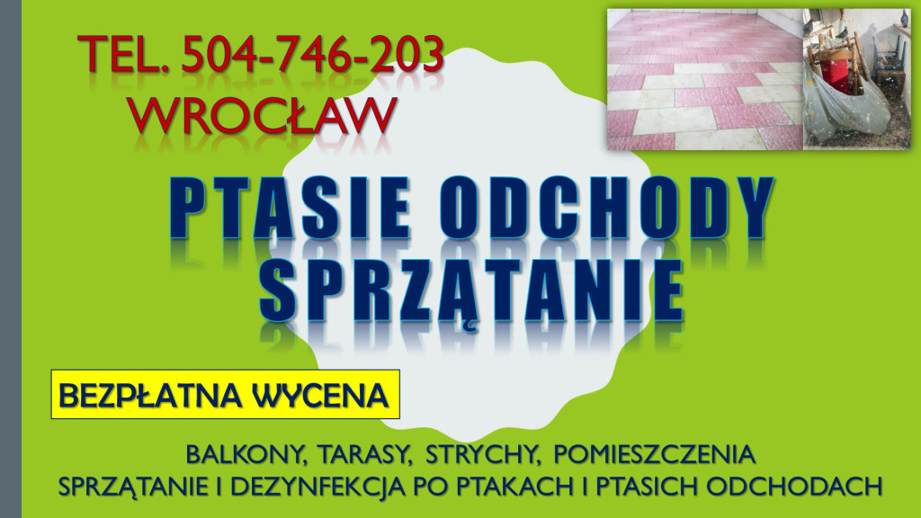 Ptasie odchody sprzątanie...