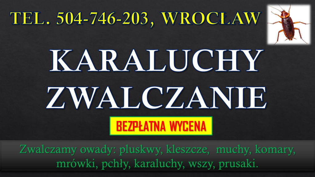 Karaluchy dezynfekcja i z...