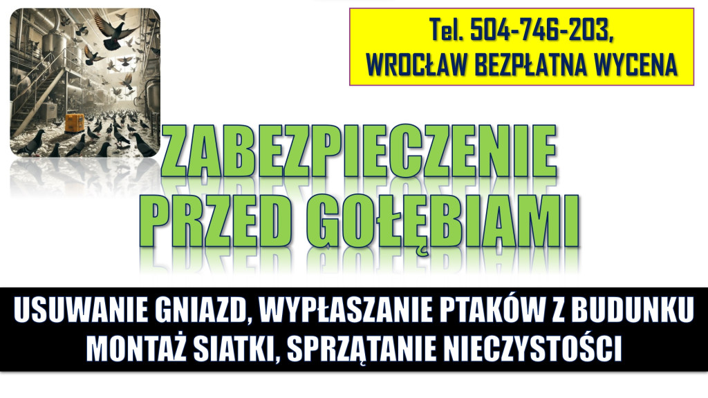 Usuwanie gołębie, gniazd,...