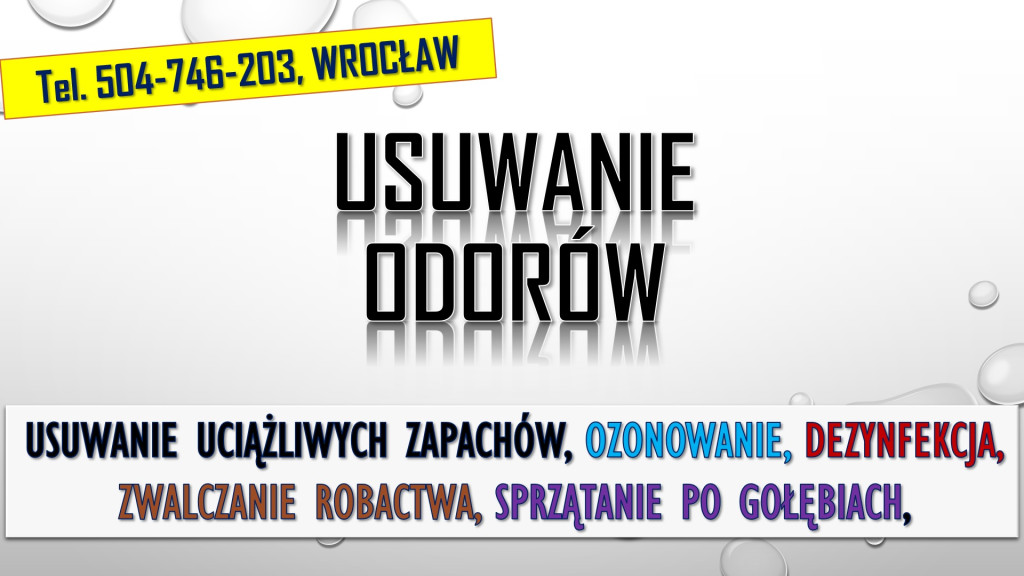 Usuwanie odorów. Cena, te...