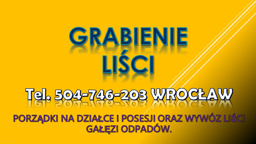 Usługi grabienia liści, t...
