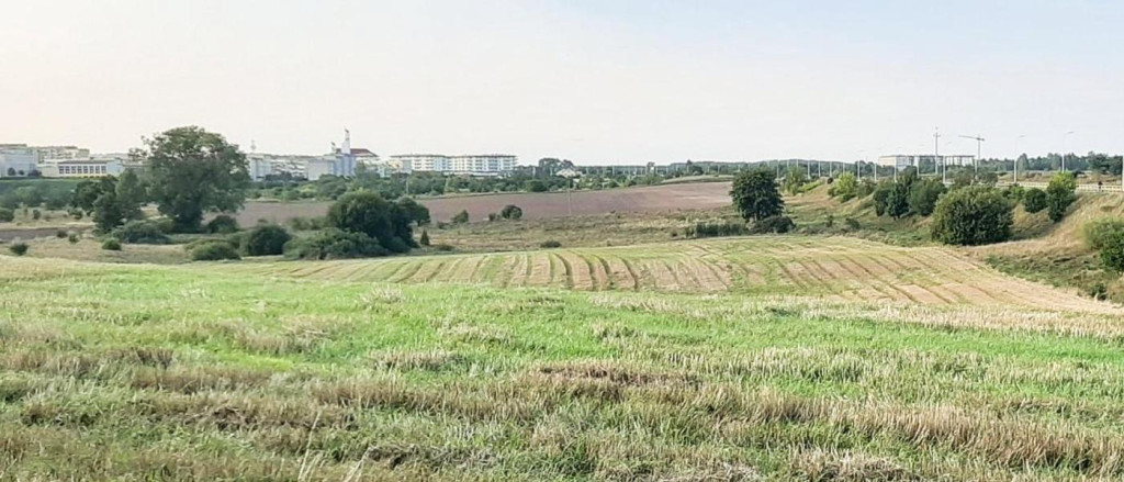 ul. Różana, Suwałki - Atr...