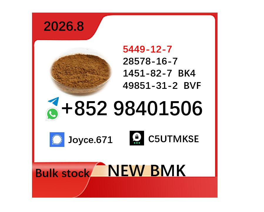 Hot Sale BMK and PMK Fact...