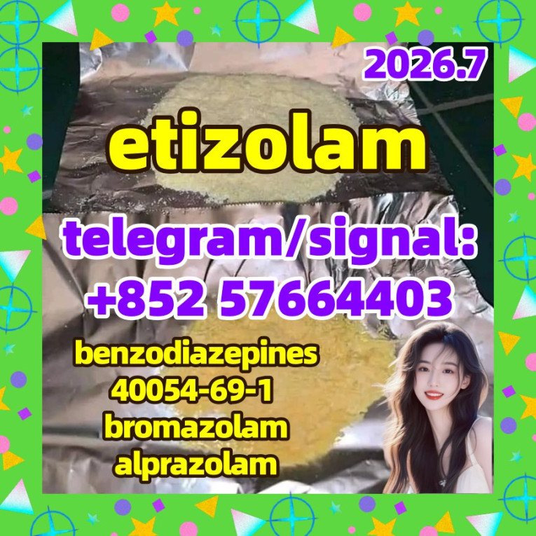etizolam 40054-69-1 