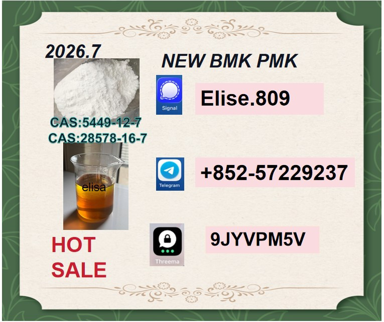 5449-12-7 BMK Hot Sale 28...