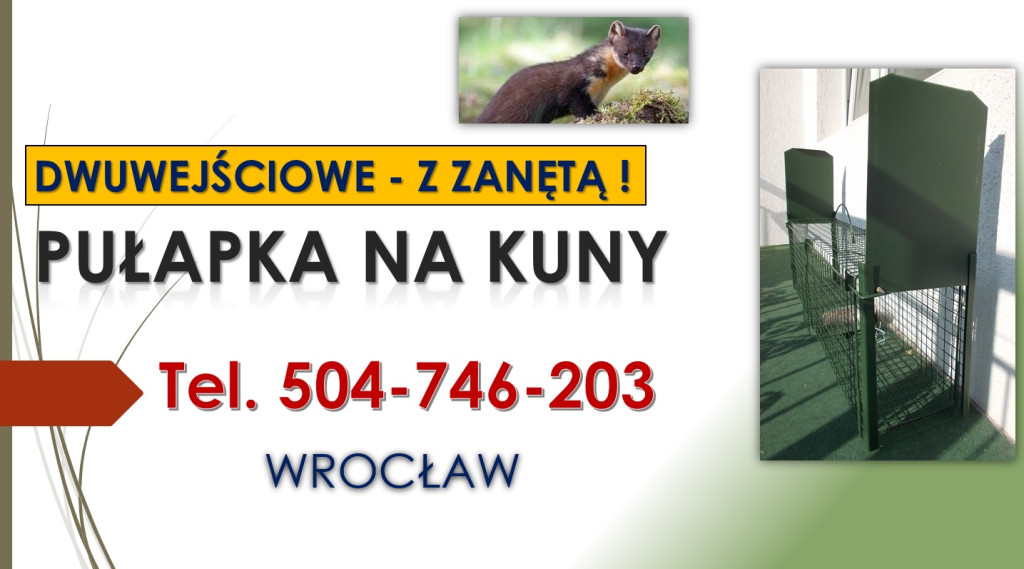 Pułapka na kuny, lisy, od...