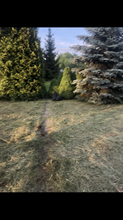 rod rekreacyjna działka w...