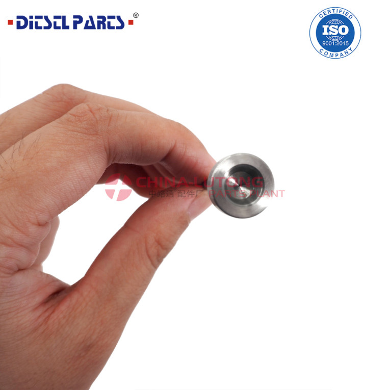 Common Rail Fuel Injector...