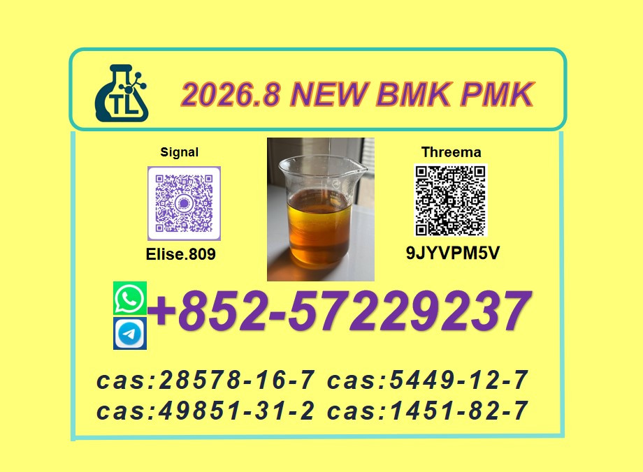 Premium BMK Glycidic Acid...