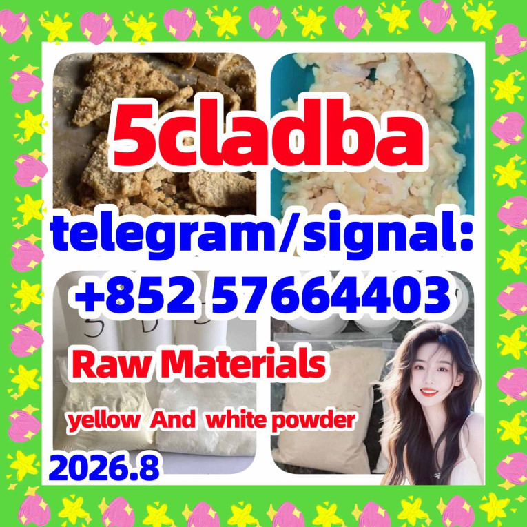 5CLADBA Research Guide: S...