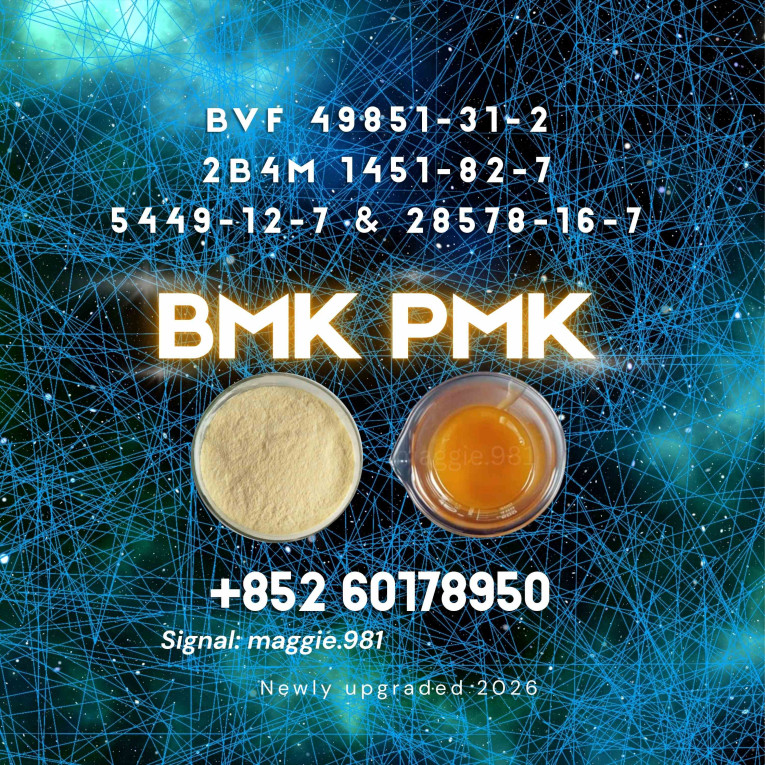 B.MK CAS 5449-12-7 new PM...