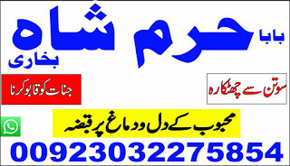 lost love back astrologer...