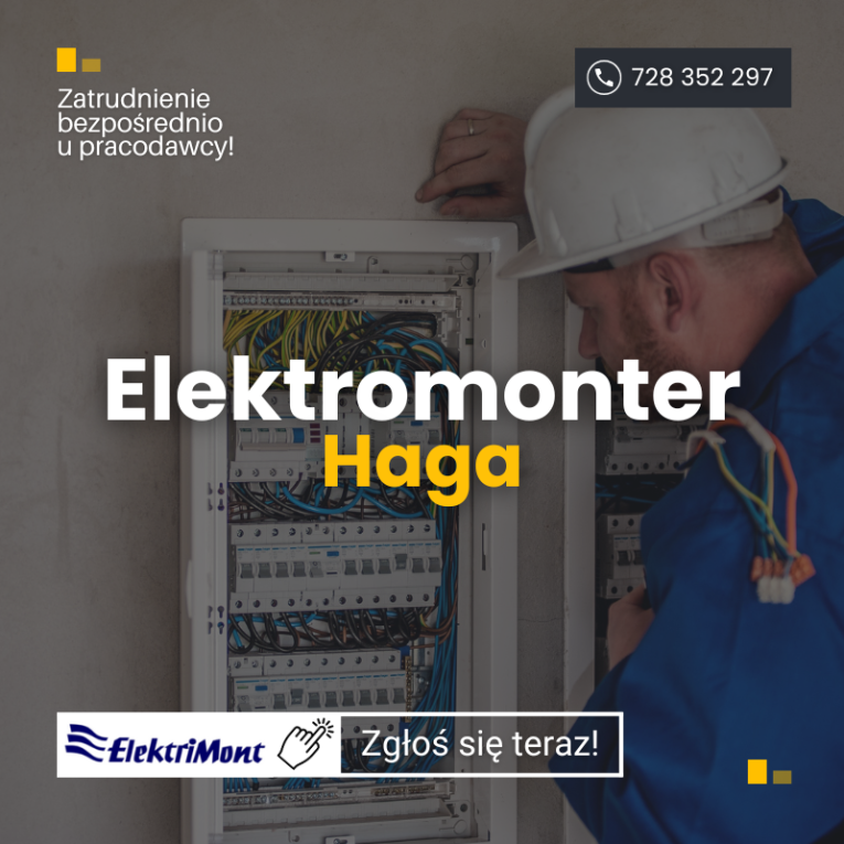 Elektromonter (przemysłów...