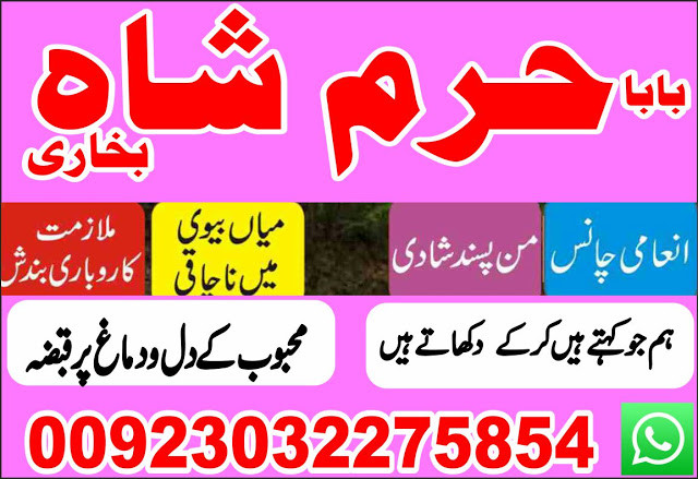lost love back astrologer...