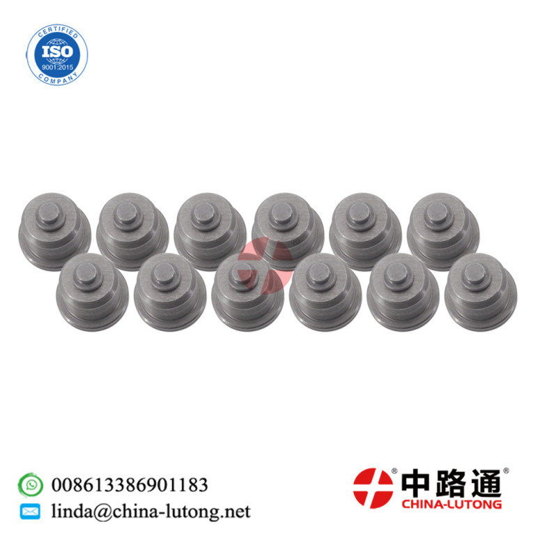 Injection Pump Delivery V...