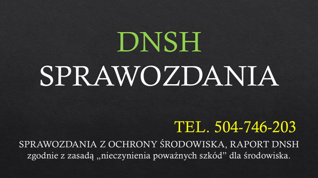Wymogi DNSH, raport, spra...