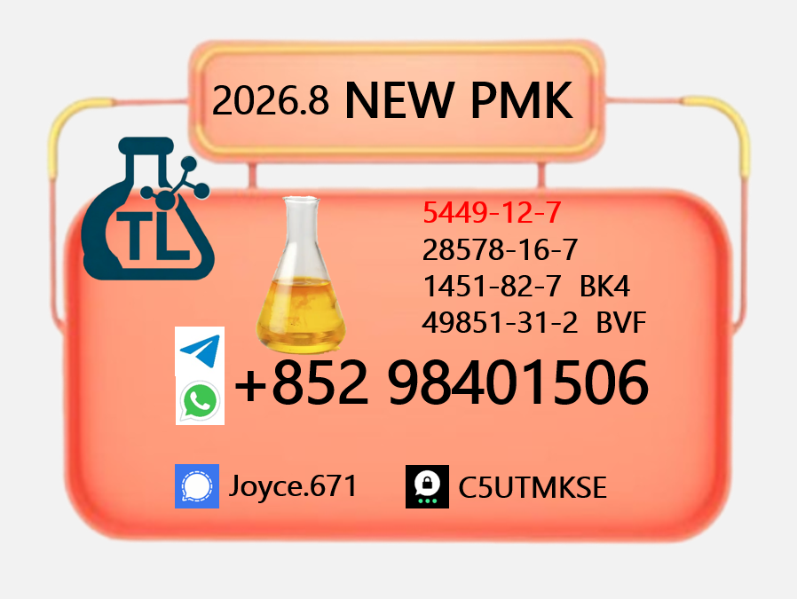 PMK Oil CAS 28578-16-7 |...
