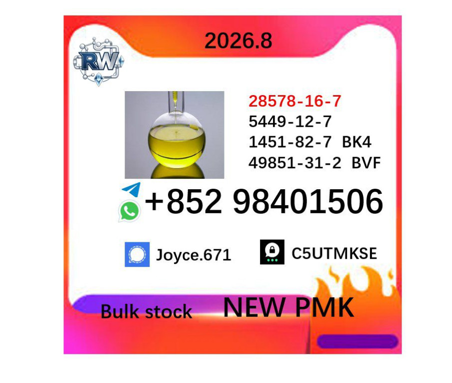 BMK Sodium Salt CAS 5449-...