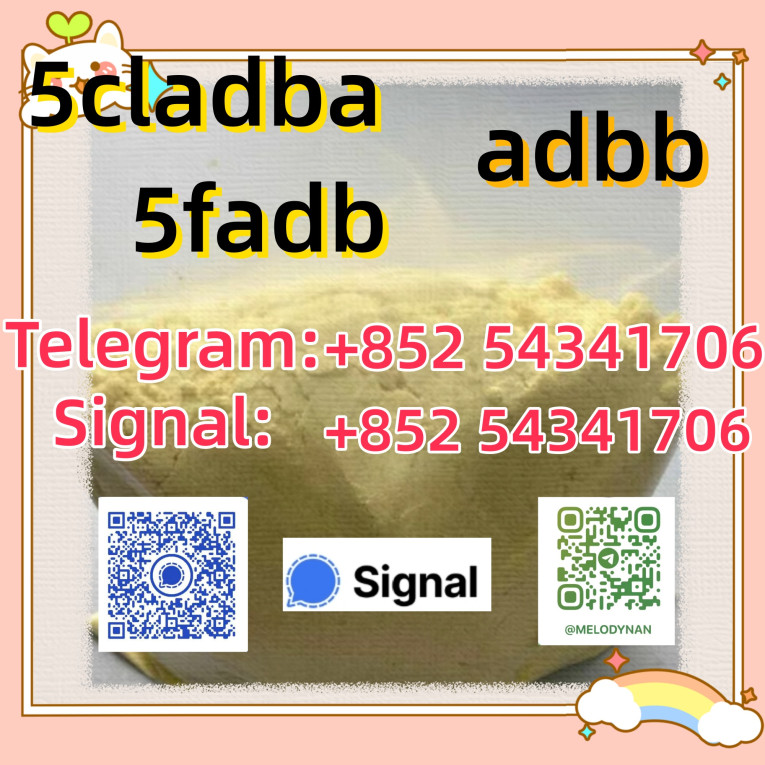 5Cladba 5Cladba Yellow Ca...