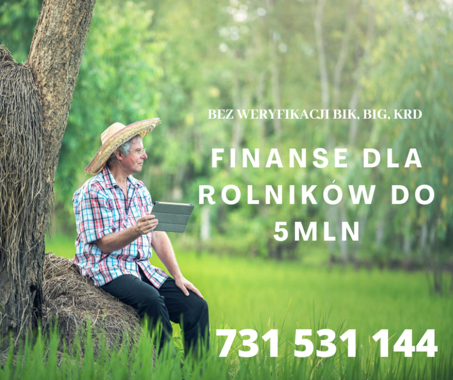 POZYCZKA POZABANKOWA POD...