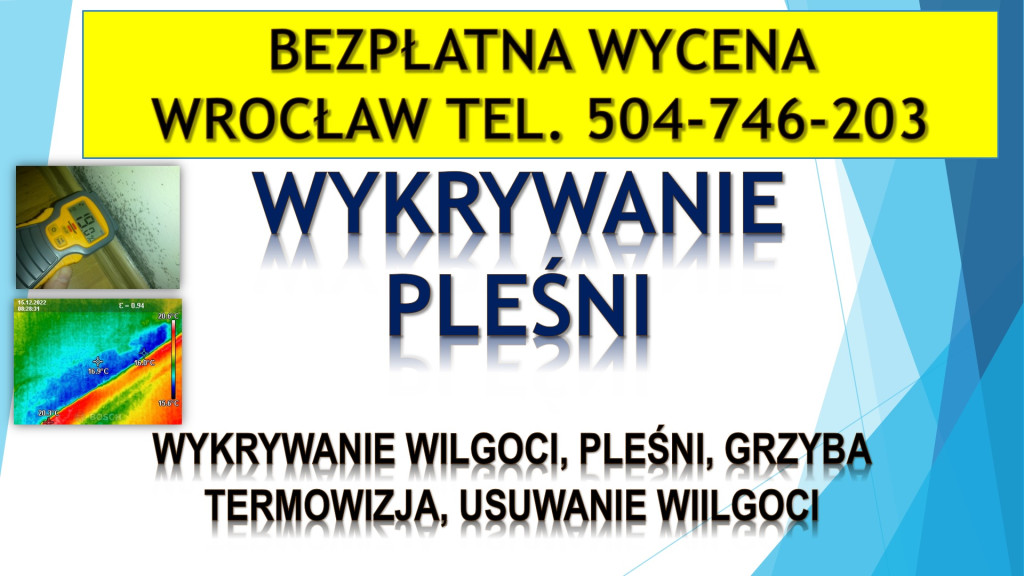 Wykrycie pleśni, tel. 504...