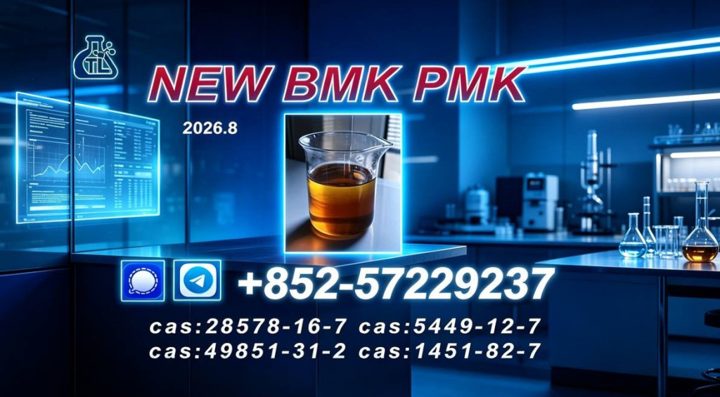 High Purity PMK Oil CAS 2...