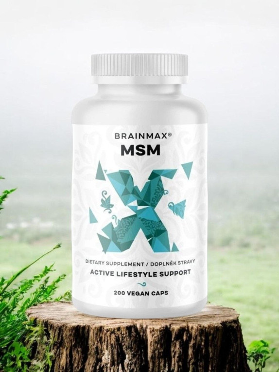 BrainMax MSM - Wspomaga z...