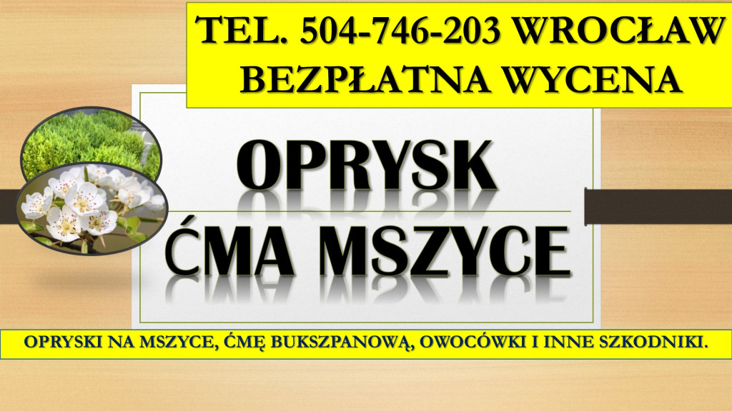 Oprysk na mszyce, ćmę buk...