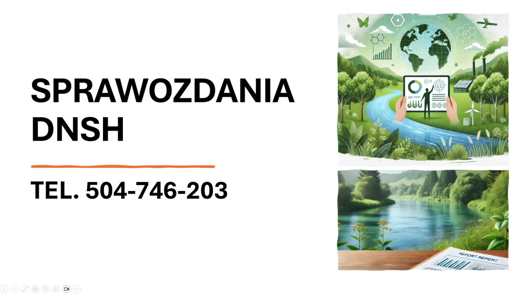 Wymagania DNSH, raportowa...