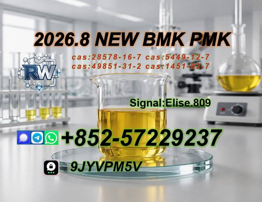 PMK  Oil  CAS 28578-16-7...