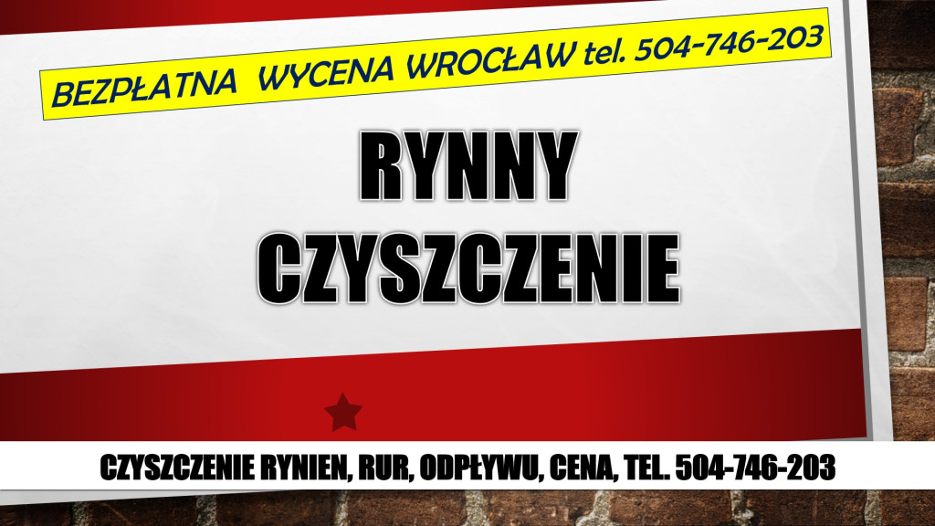 Czyszczenie rynien, cenni...