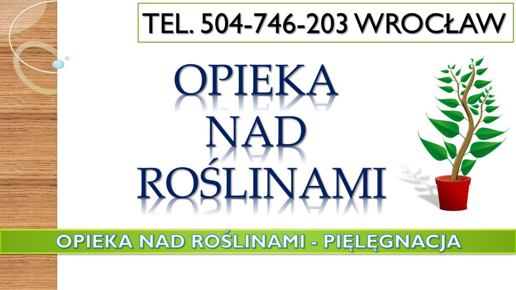 Pielęgnacja roślin w biur...