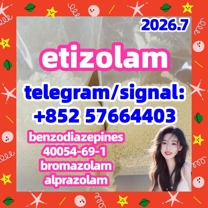 etizolam 40054-69-1 