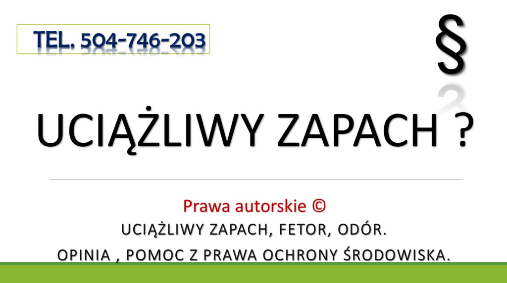 Budowa chlewni, fermy, rz...