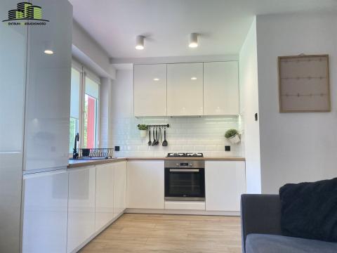 Blisko UMB / nowoczesne *...