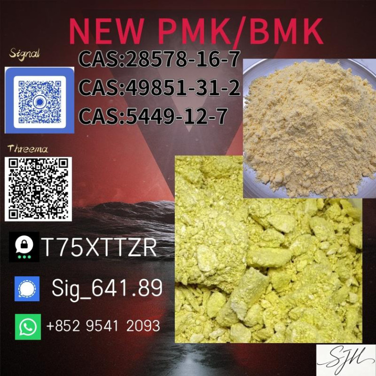 PMK Oil CAS 28578-16-7 |...