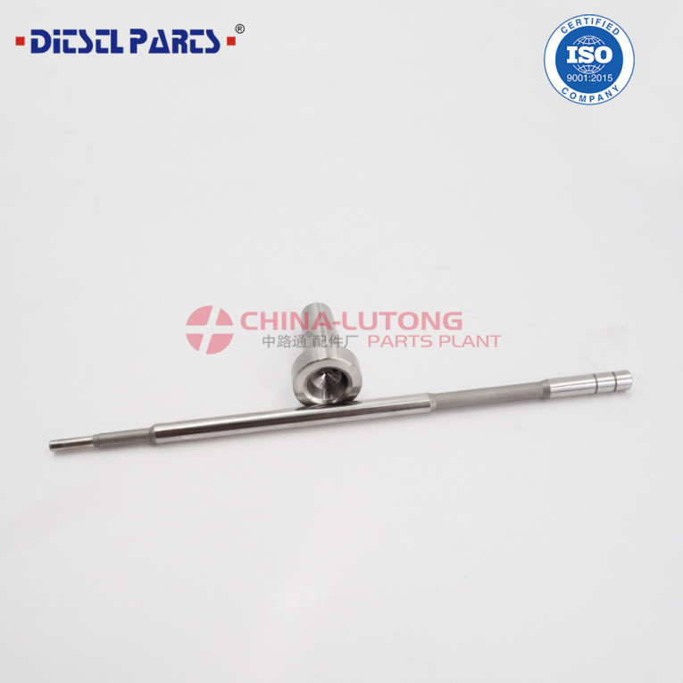 Common Rail injector cont...