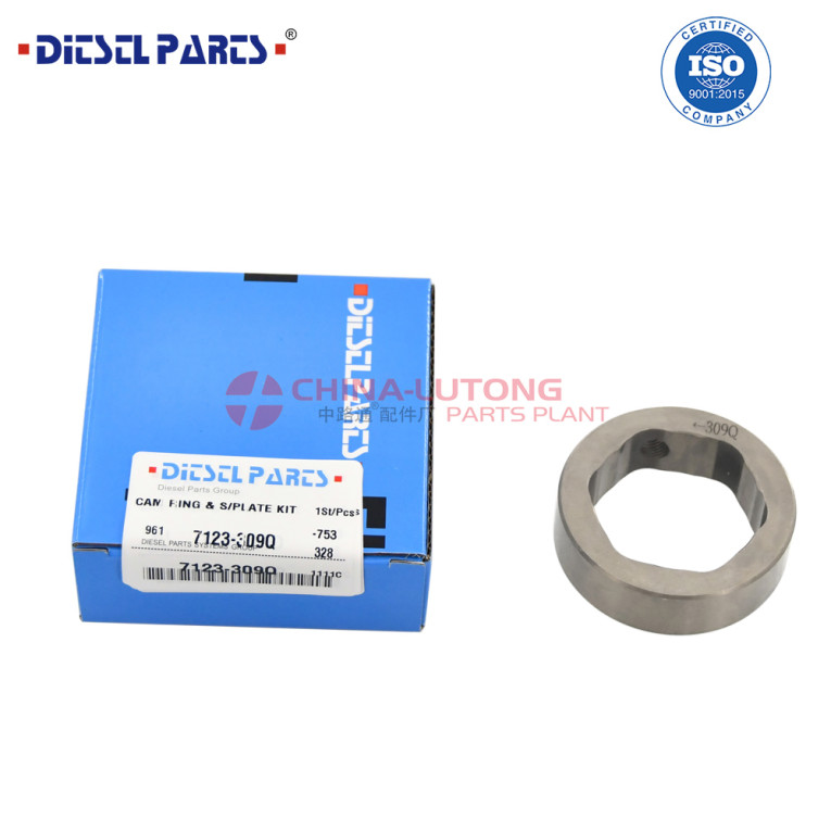 cam ring and scroll plate...