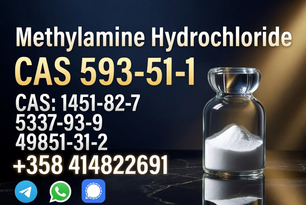 CAS 593-51-1 Methylamine...