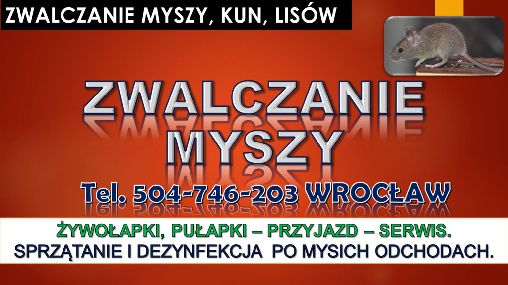 Likwidacja myszy, tel.504...