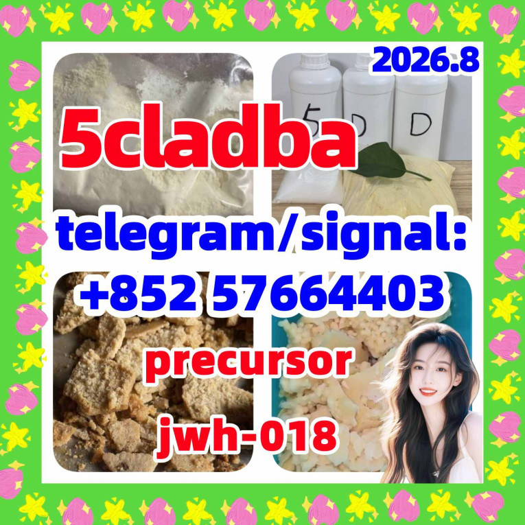 5cladba China Supplier |...
