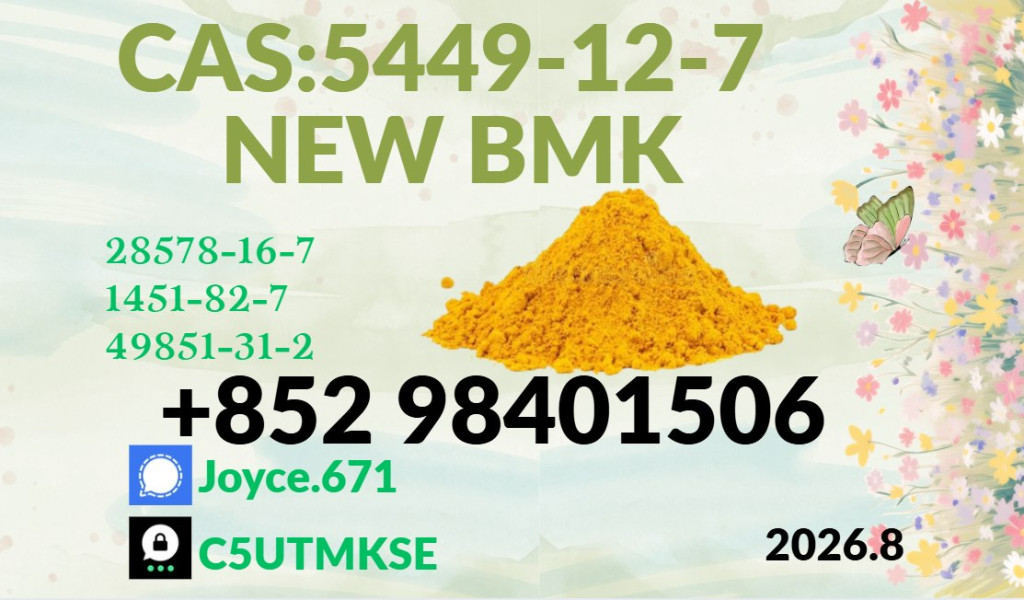 BMK Glycidic Acid 99% Pow...