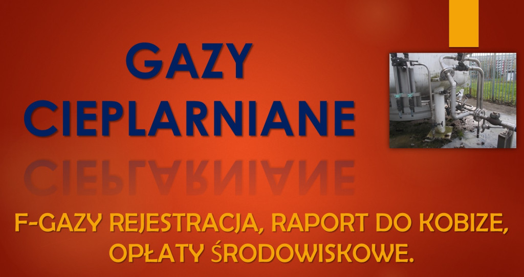 Baza Danych Sprawozdań o...