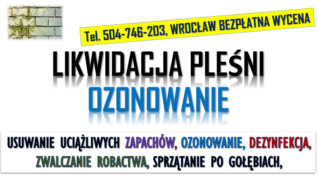 Ozonowanie Wrocław, cenni...