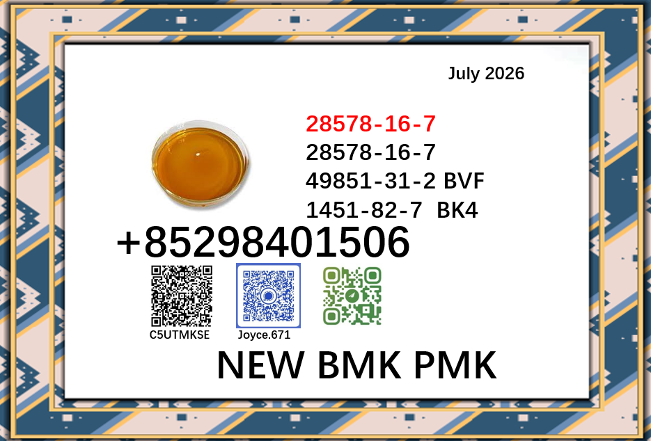 PMK 28578-16-7 BMK 5449-1...