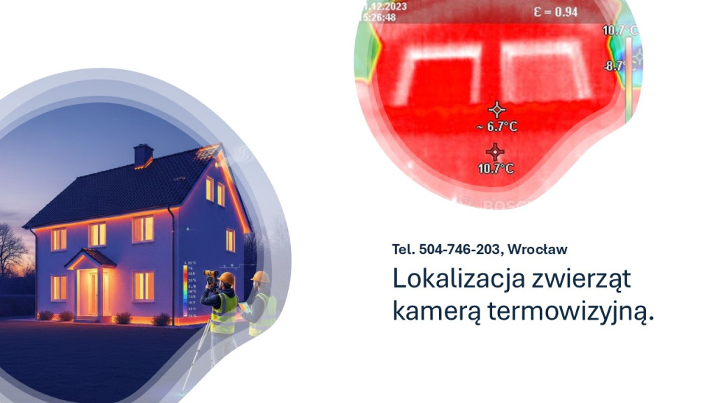 Odnajdywanie zwierząt kam...