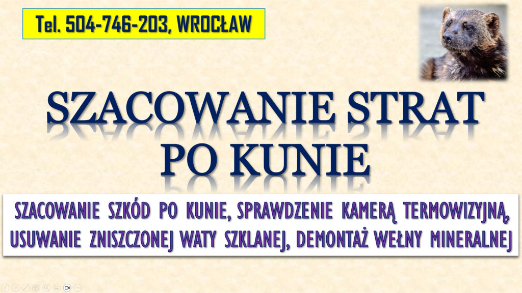 Szacowanie szkód po kunie...