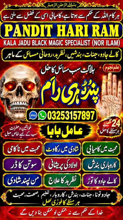 hindu amil baba in usa, h...